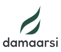 logo damaarsi